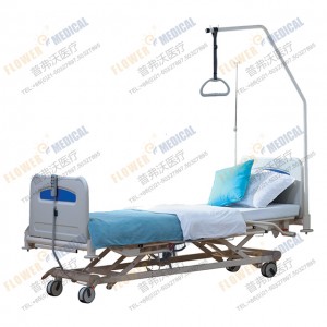 FBD-VI European Five funcions electric bed